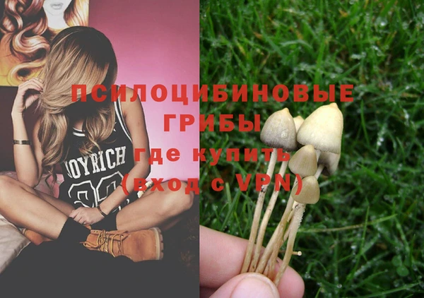МДПВ Алексеевка