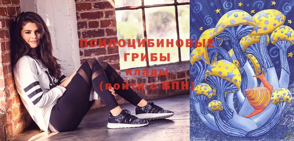 МДПВ Алексеевка
