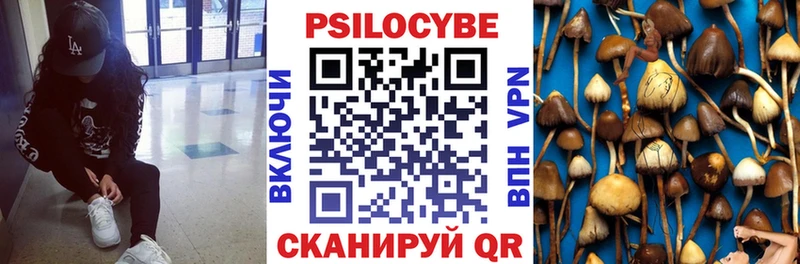darknet наркотические препараты  Камешково  Галлюциногенные грибы ЛСД 